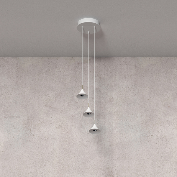 Collection suspensions (13)