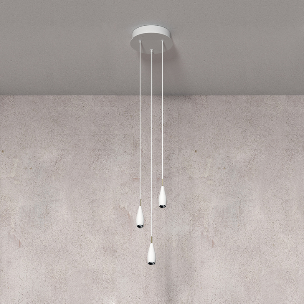 Collection suspensions (5)